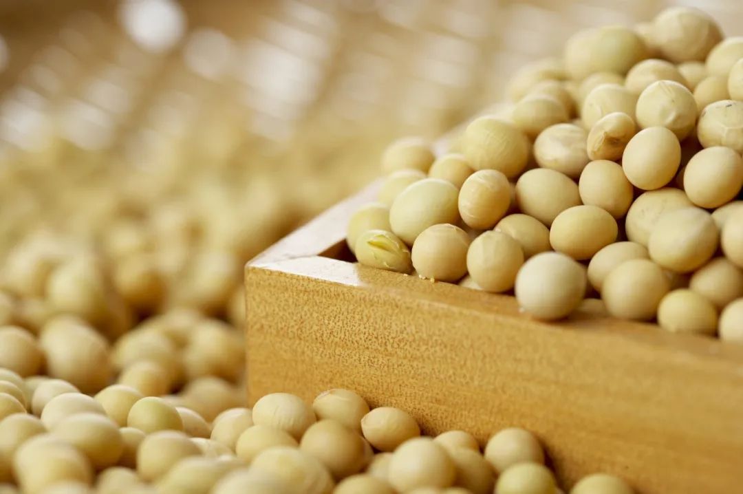 五谷是什么分别指哪些,五谷是什么