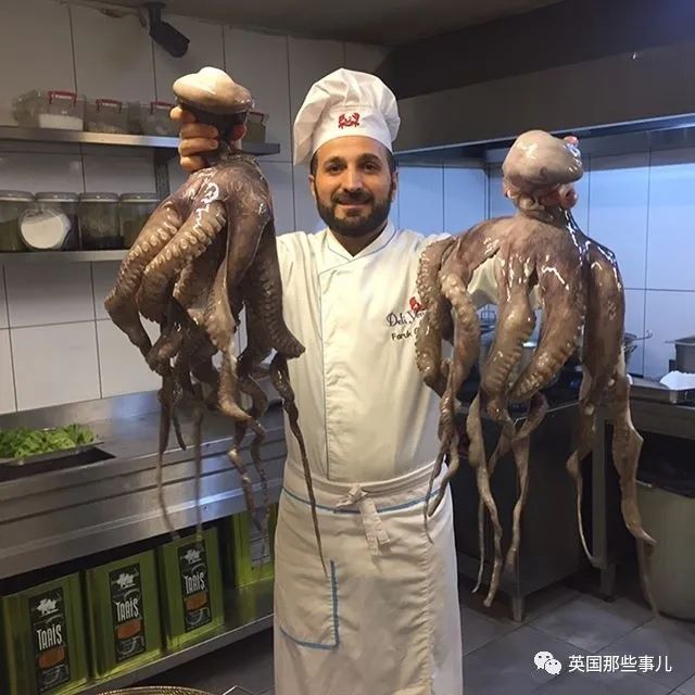 娣辨捣鎬奔缇庨,娣辨捣鎬奔鍒朵綔