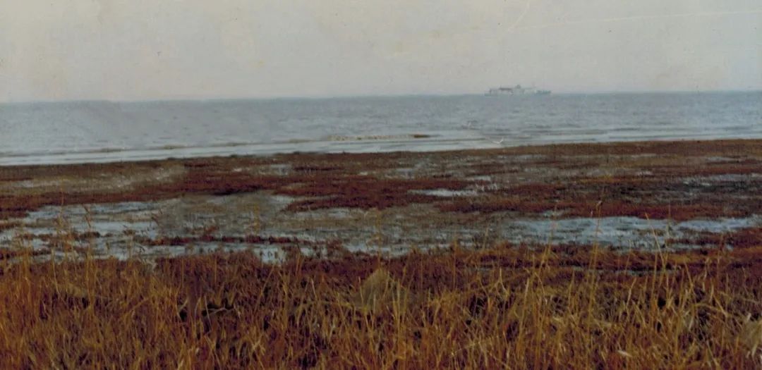 浦东新区曹路镇发展,曹路镇生活日记视频