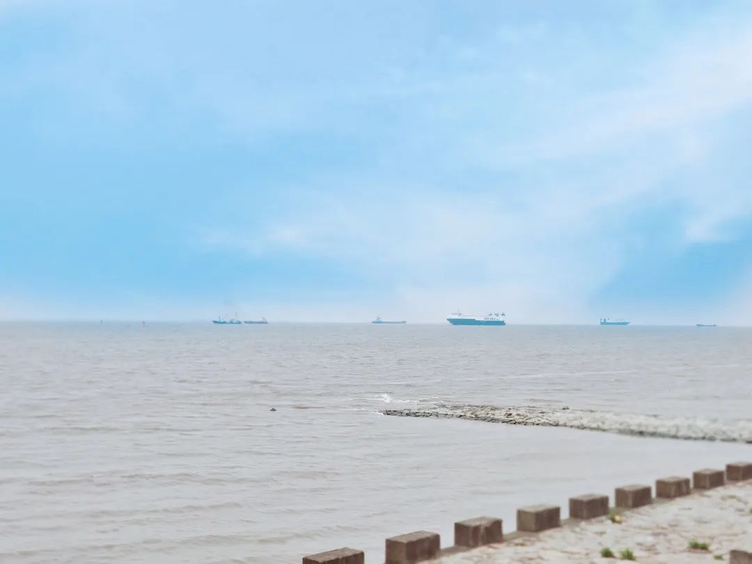 浦东新区曹路镇发展,曹路镇生活日记视频