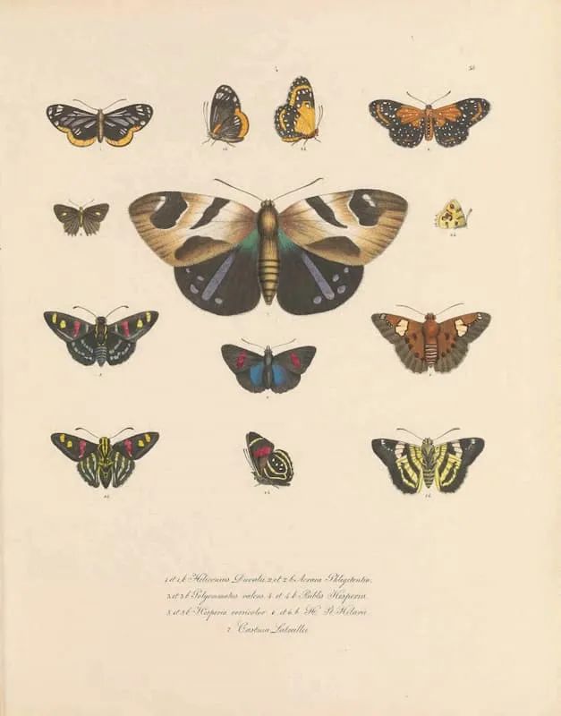 科技爱好者周刊102期,科技爱好者日报