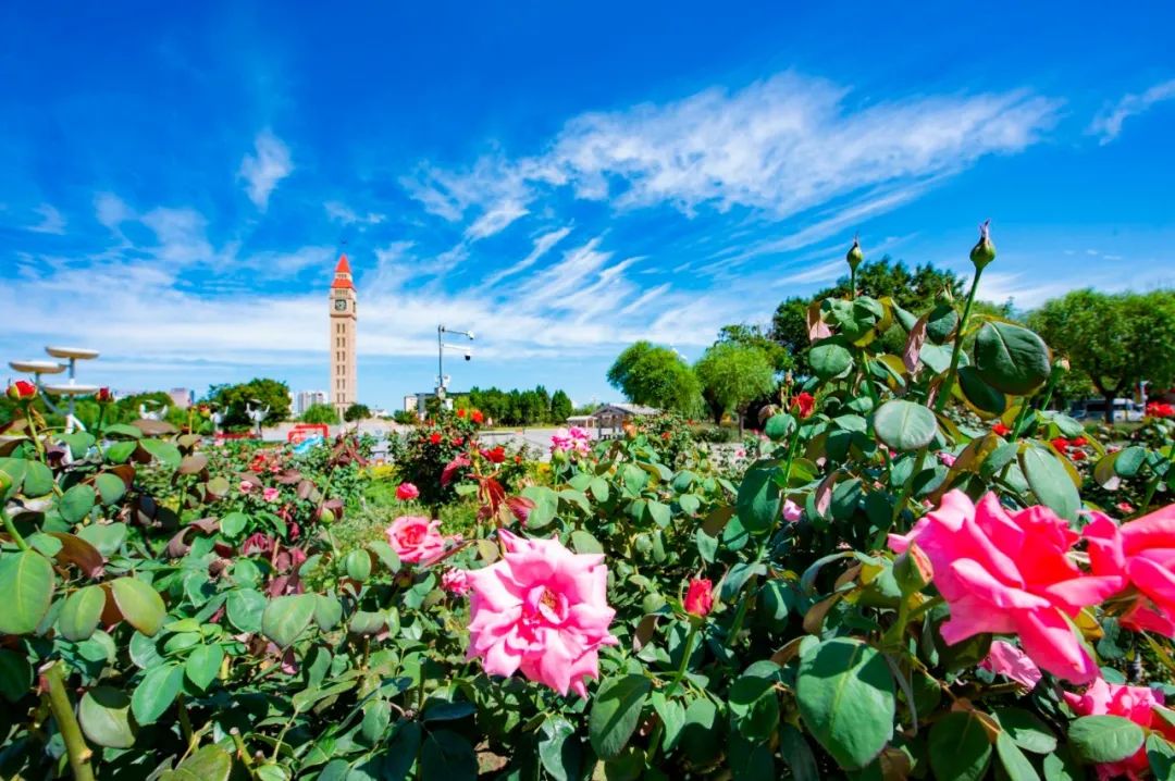 鹤壁小区排名前十名,鹤壁小区排名前十