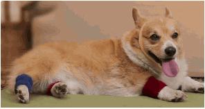 看了就想健身的小说,懒癌怎么锻炼最有效