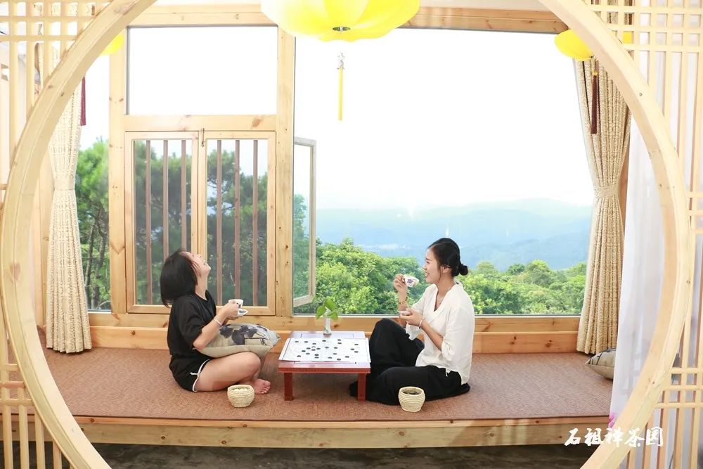 茶香禅韵入梦完整视频,世外桃源神仙度假地