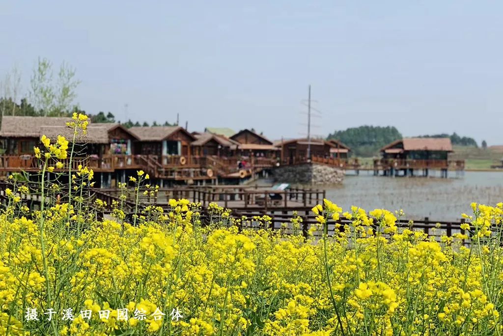 踏青江宁,南京江宁踏青赏花好去处