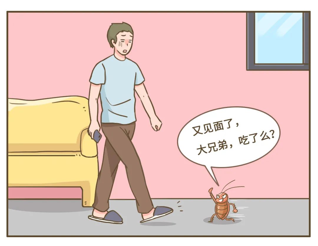 居家如何预防蟑螂滋生,家庭消杀小贴士蟑螂蚊子