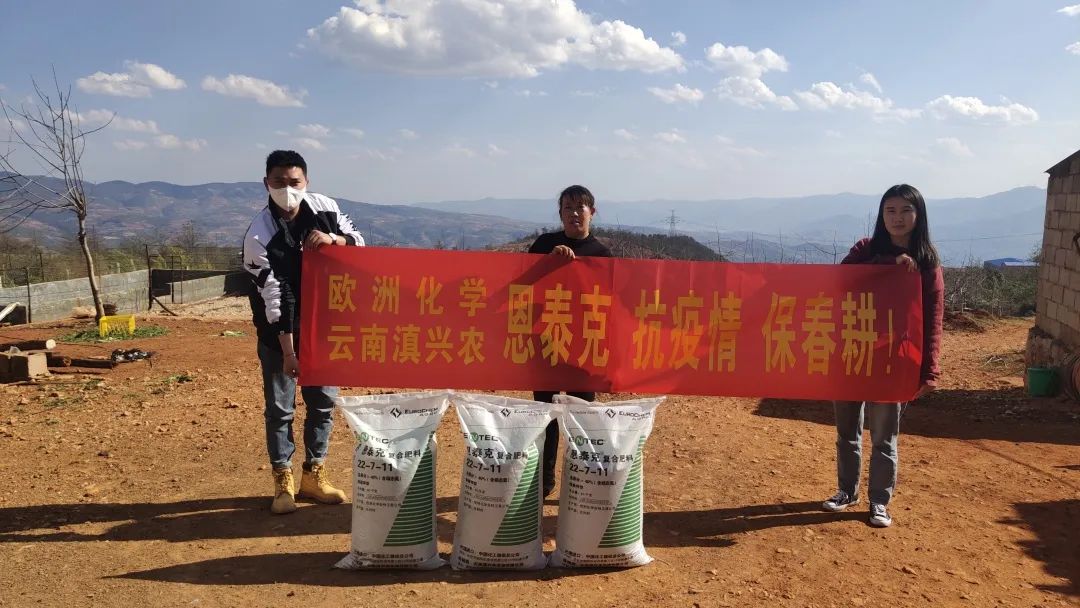 聚焦|抱薪赴雪,“欧化”开启寻爱历程