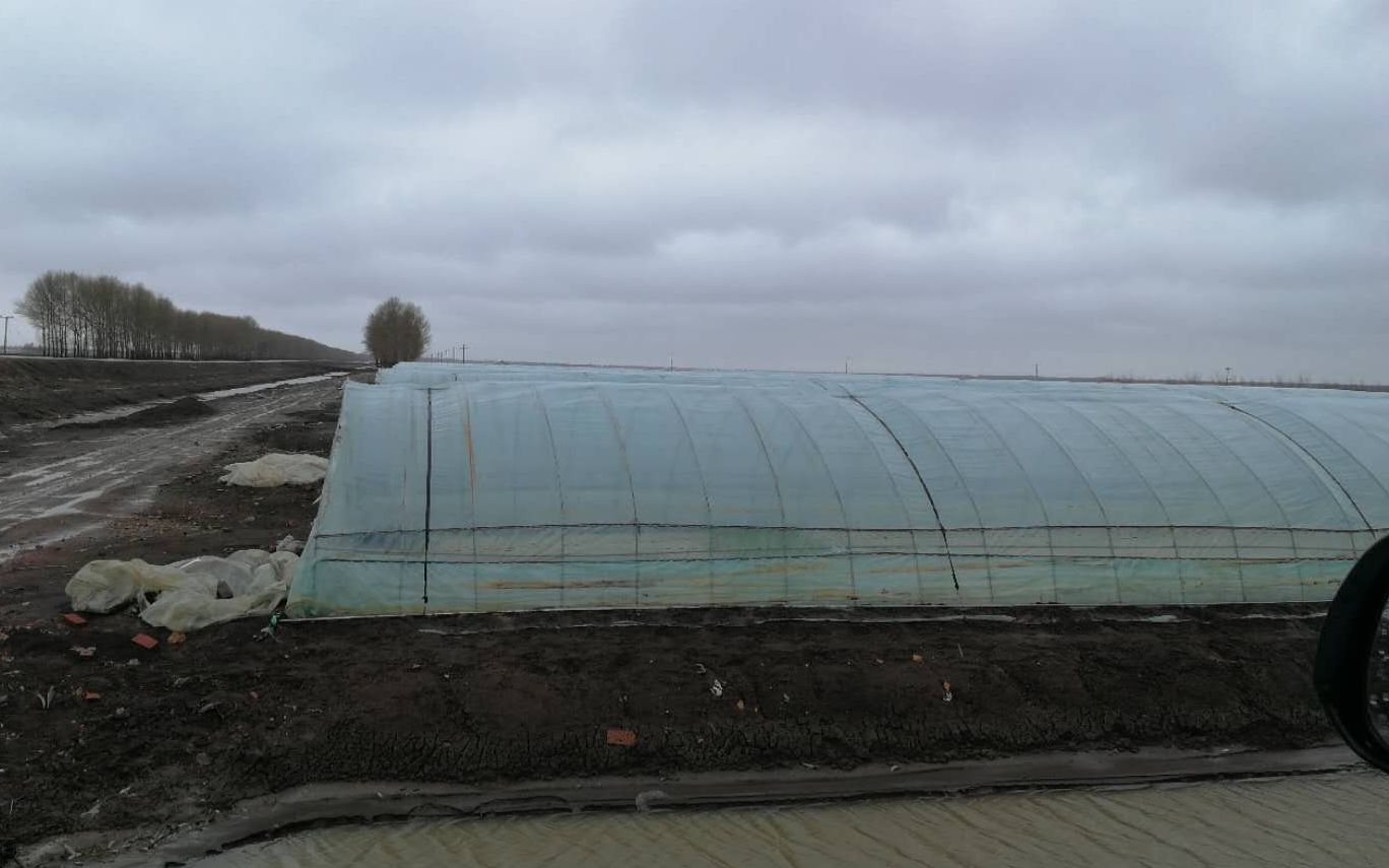 黑龙江冷空气灾害,黑龙江即将迎来寒潮