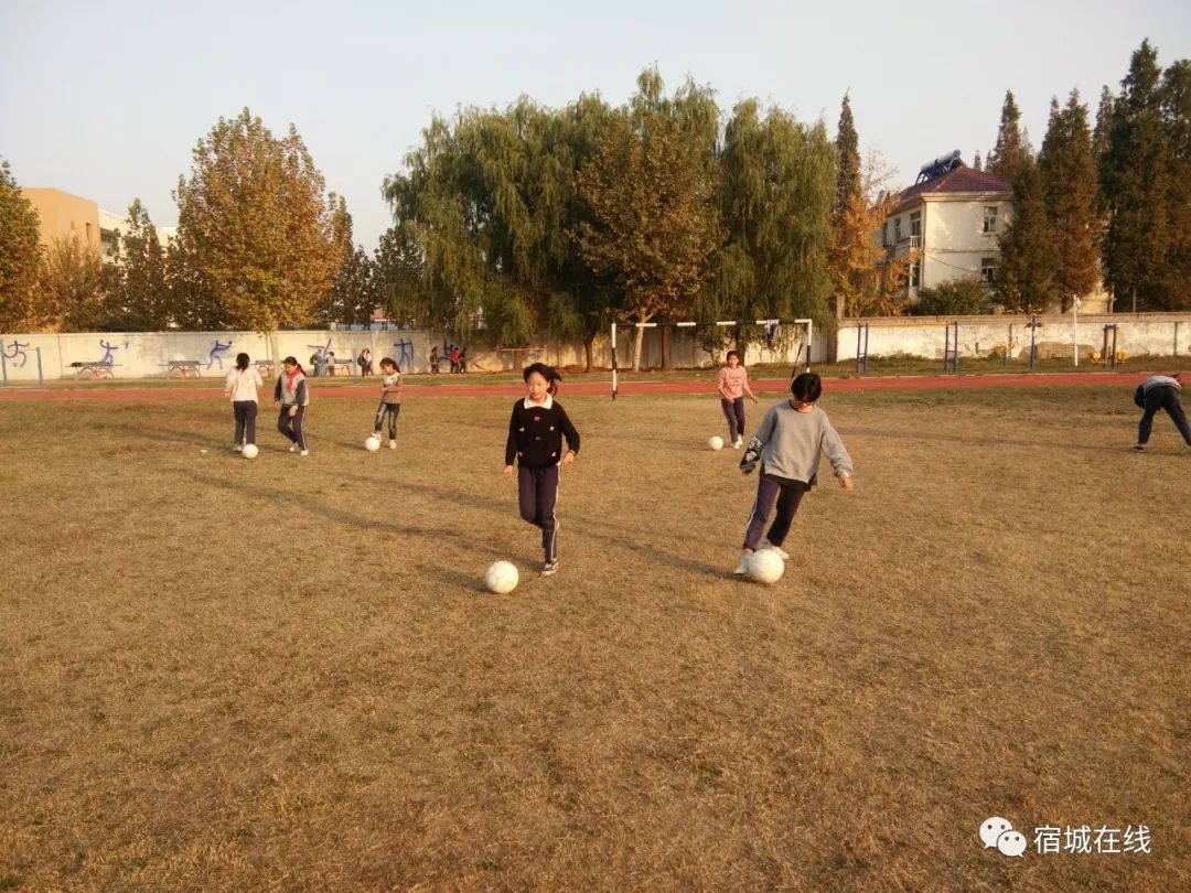 宿城区即将新增的学校,宿城区2024年有新建学校吗