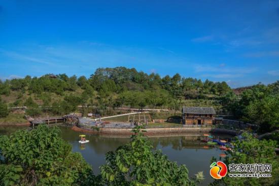 “勇”做致富带头人荒山摇变成“金山​”