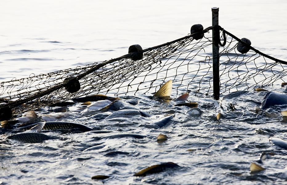 今天是世界地球日，保护地球，从这些小事做起→