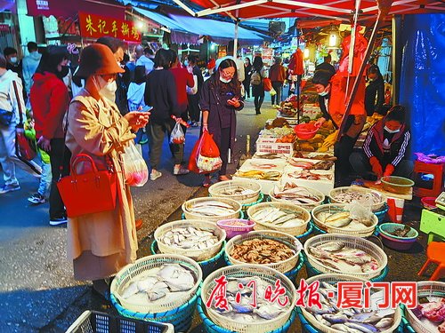 休渔将至赤鯮鱼、巴浪鱼、丝丁鱼等新鲜本港渔货近日成市民采购热门