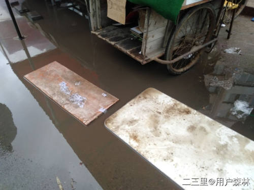 「二三里早八点」把树杈当单杠，德惠公园大爷大妈锻炼方式太奇葩