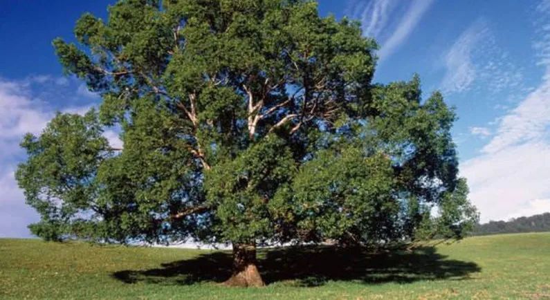 用空调清洁剂怎么清洁空调,你还在担心空调落灰尘吗