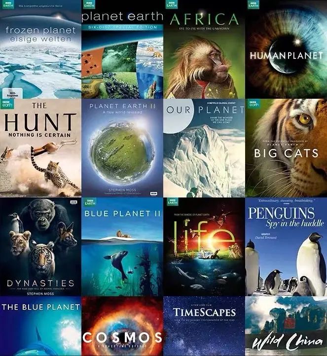 拆解64集BBC纪录片，每天看一集，英语水平超9成国人.......