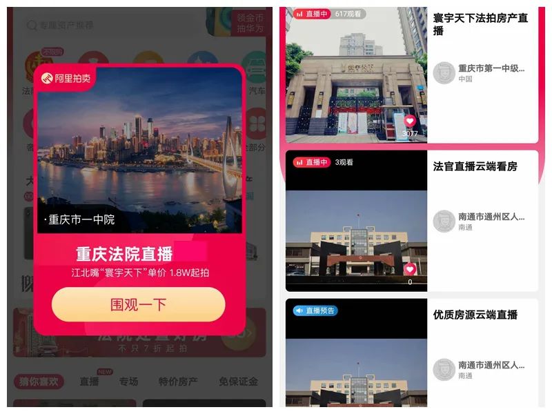 “云视察+云座谈”!9名代表委员与4800名网友在线见证重庆法院这场直播拍卖