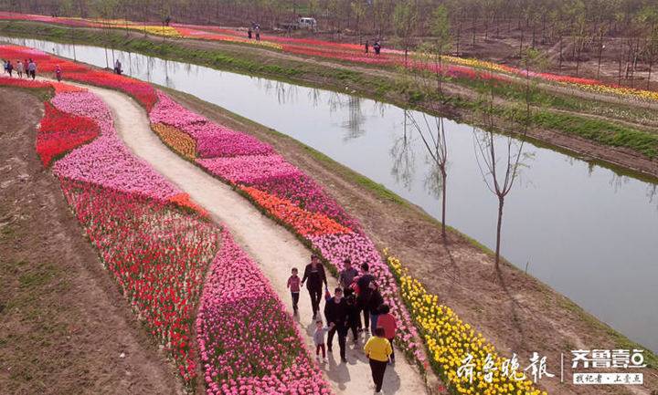 打响改革攻坚战加强改革顶层设计,我市强化攻坚力度改革亮点纷呈