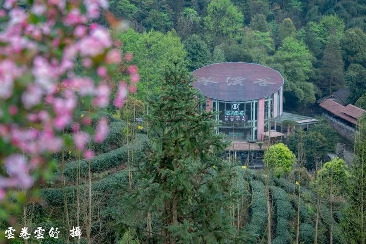 真香！去乐园耍水，到秘境观溪，本周门票福利已送达~