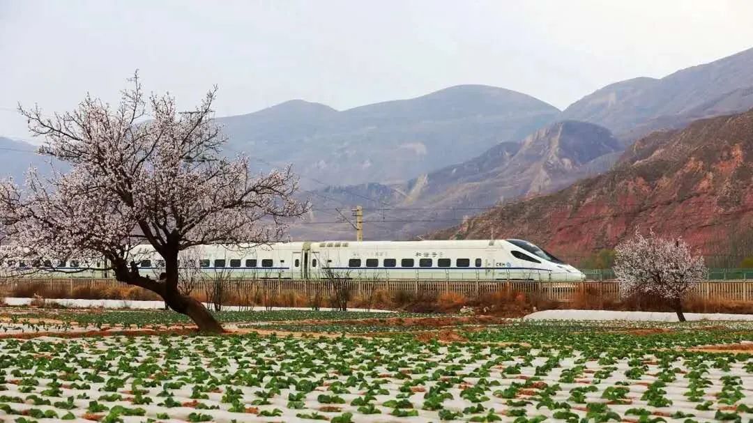西宁电子客票取票操作流程,西宁电子客票什么时候发放