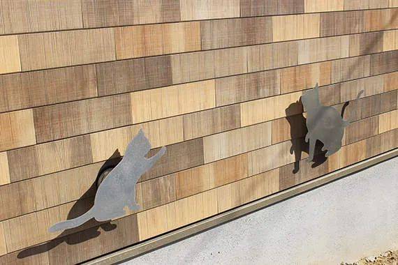 猫奴的春天!日本这家公司专门打造出「猫奴公寓」,每一处设计都超贴心