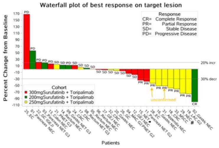 AACR2020｜沈琳教授团队携索凡替尼联合特瑞普利单抗治疗晚期实体瘤Ⅰ期研究亮相国际舞台