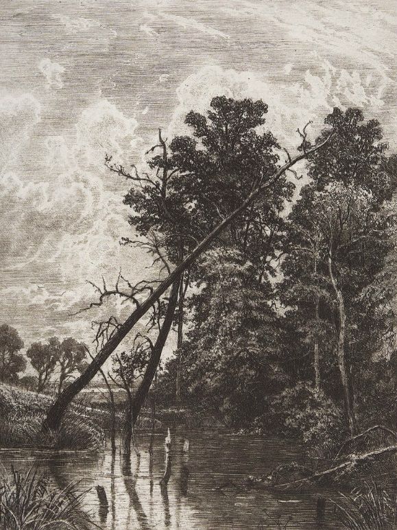 杰出人物素描画,超写实风景素描图片