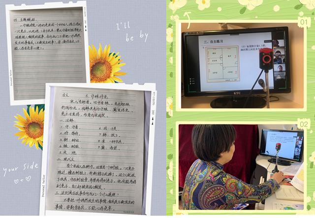 小学居家学习线上教学实施方案,招远实验小学网络教学