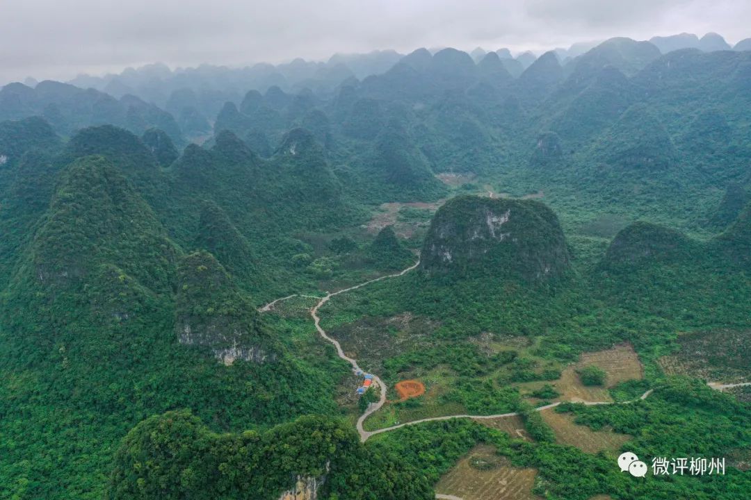 融安县贫困户脱贫,广西融安县沙子乡贫困农村