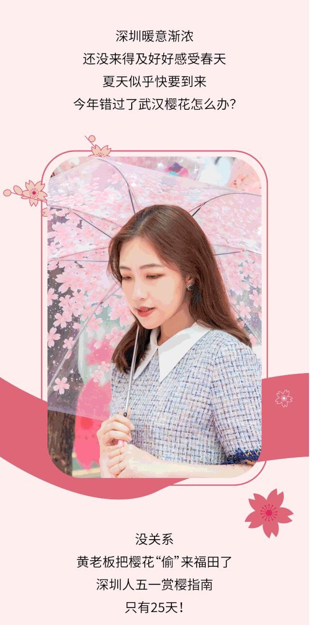 五一打卡超大的油菜花田,五一打卡家门口的花海