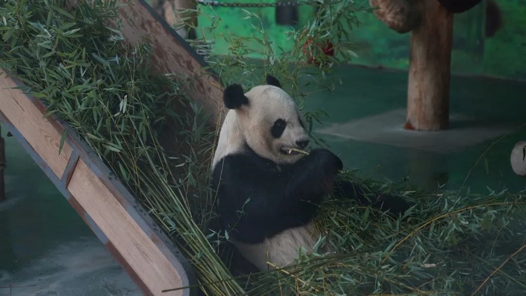 五一去哪里玩国家a级景区,五一热门景区和冷门景区