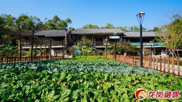 五一去哪玩深圳龙岗,龙岗五一最佳去处