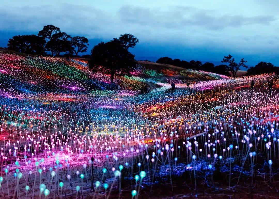 设计如何进行灵感的捕捉,设计灵感与作品