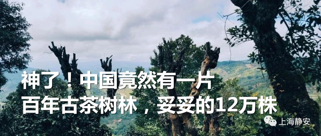 一名学生发朋友圈赔80万,发了一条朋友圈后悔了