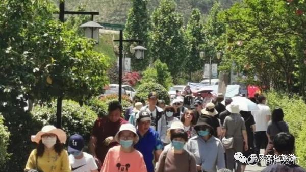 丹凤旅游最新消息,丹凤五一旅游团人数