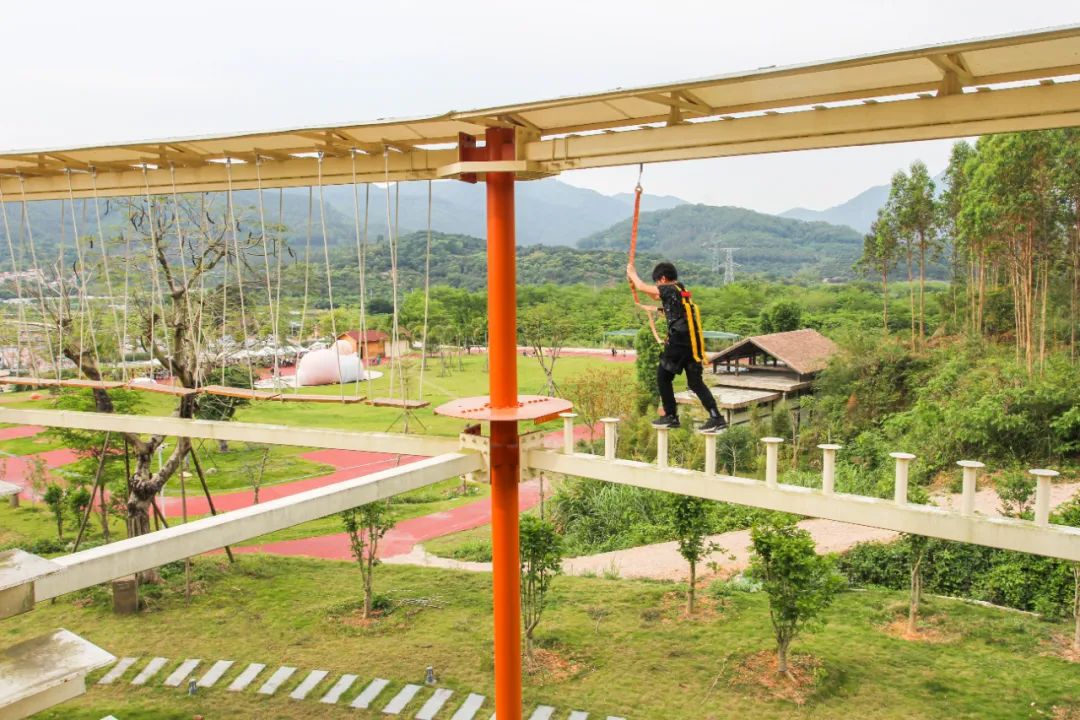 龙海双第华侨农场蜗牛村|走出都市快节奏体验“蜗牛”慢生活