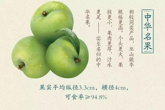 山海一家亲,共品巫山味!巫山农产品线上特卖会今儿“开市”