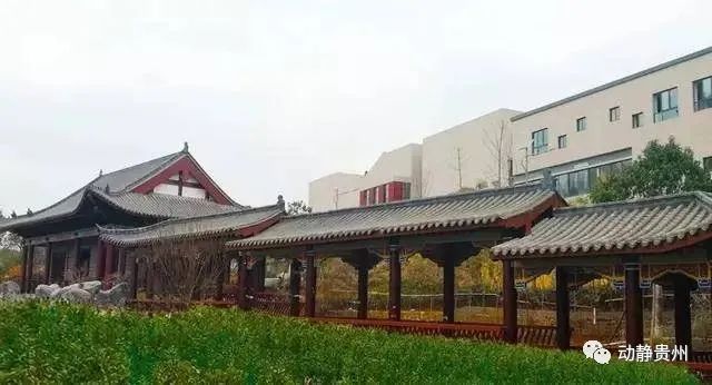 打不死的割不尽的韭菜,打不死邹元标什么意思