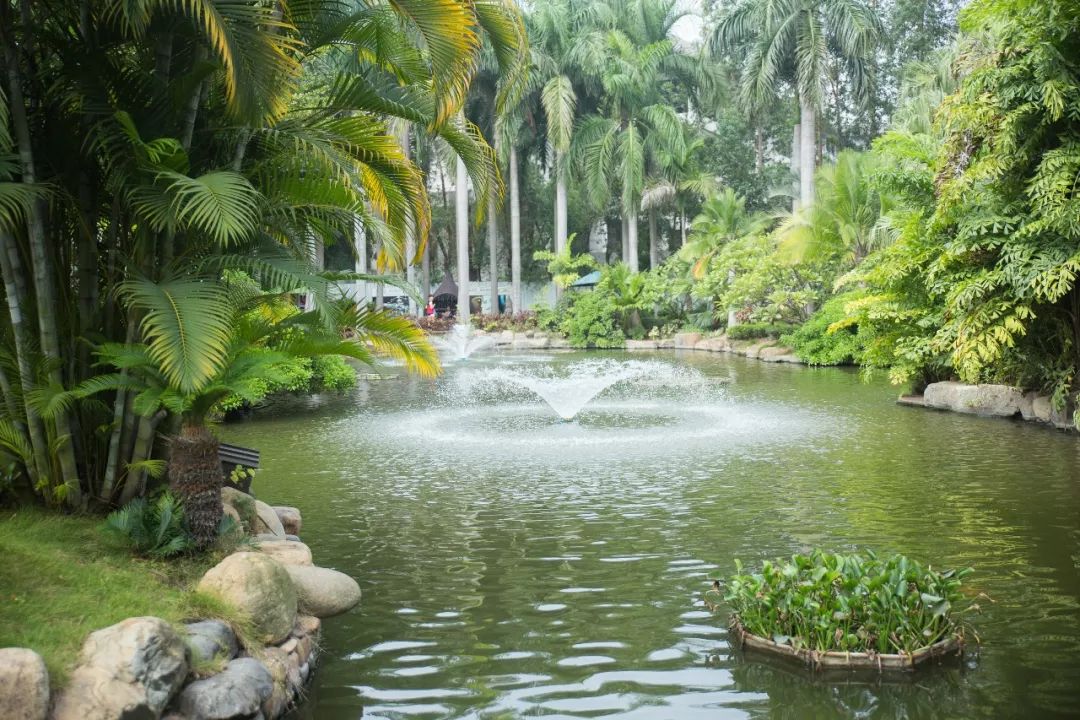 送温泉票!为什么那么多人想泡温泉?!厦门的这几家温泉胜地给你答案~