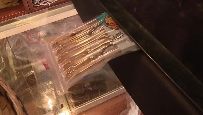 野生新虫草上市,新鲜货虫草