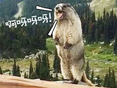 西班牙驻华大使馆旅游处,西班牙领事馆游玩攻略图文