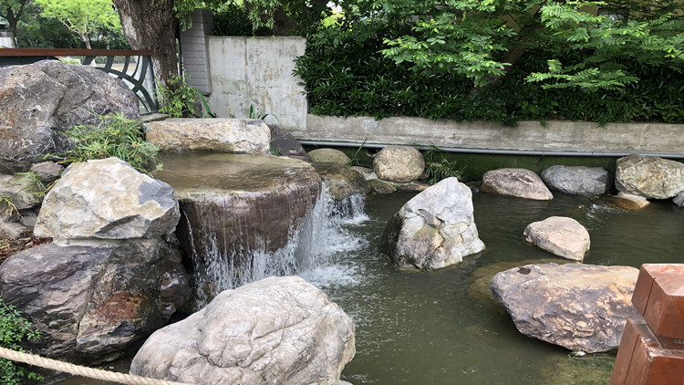 上海节水评估,国家节水行动方案年用水量
