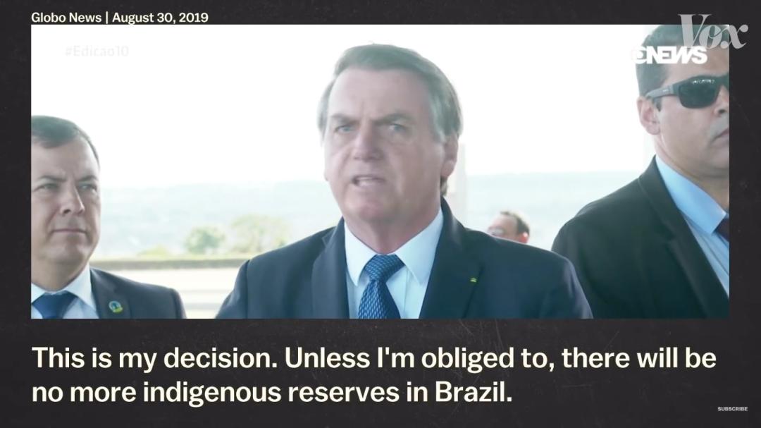 三个月砍掉20个曼哈顿,一年砍掉一个国家,亚马逊已经到了最危急的时候