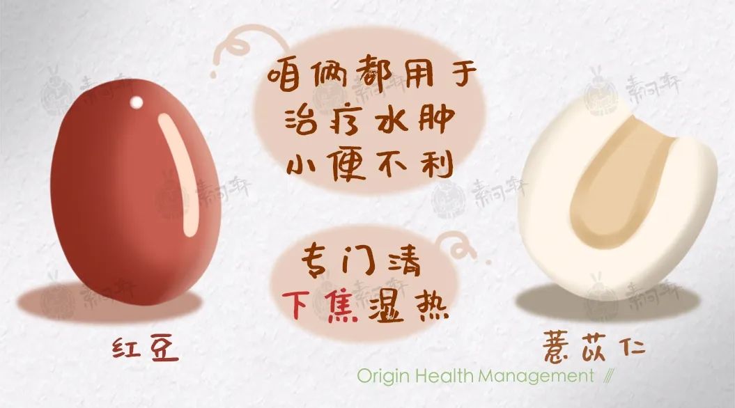 红豆薏米祛湿气真有效吗,红豆薏米去湿气推荐