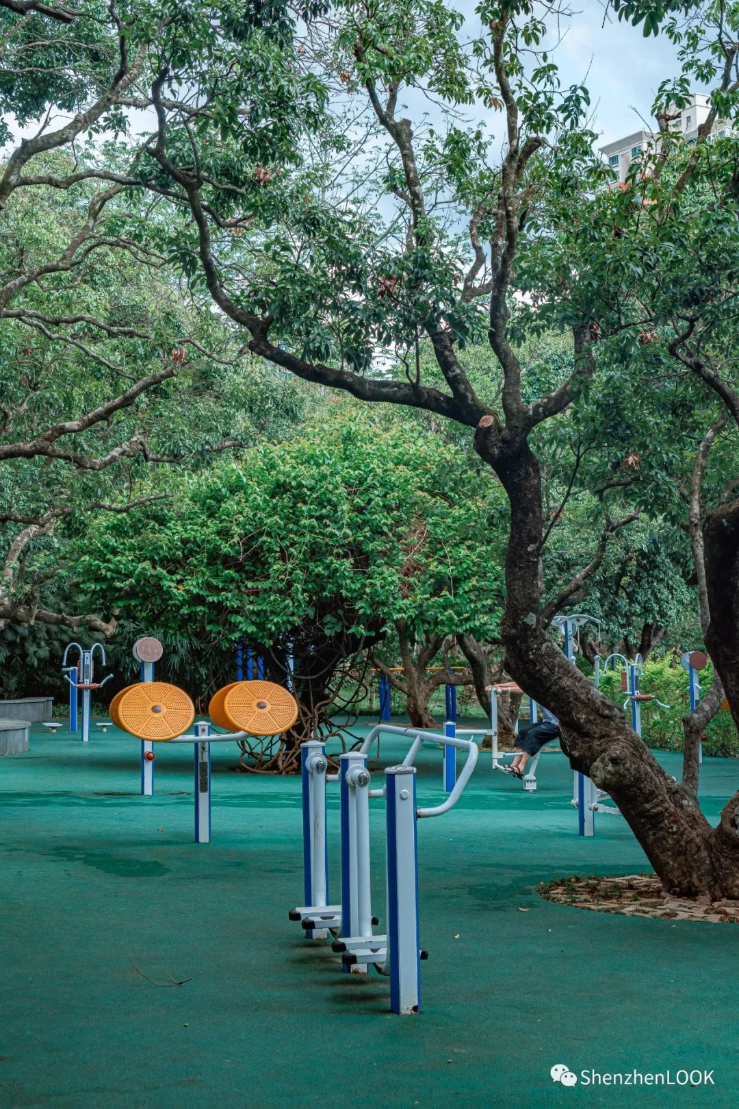 look这是什么牌子的包包,严浩翔说look这是tnt什么舞台