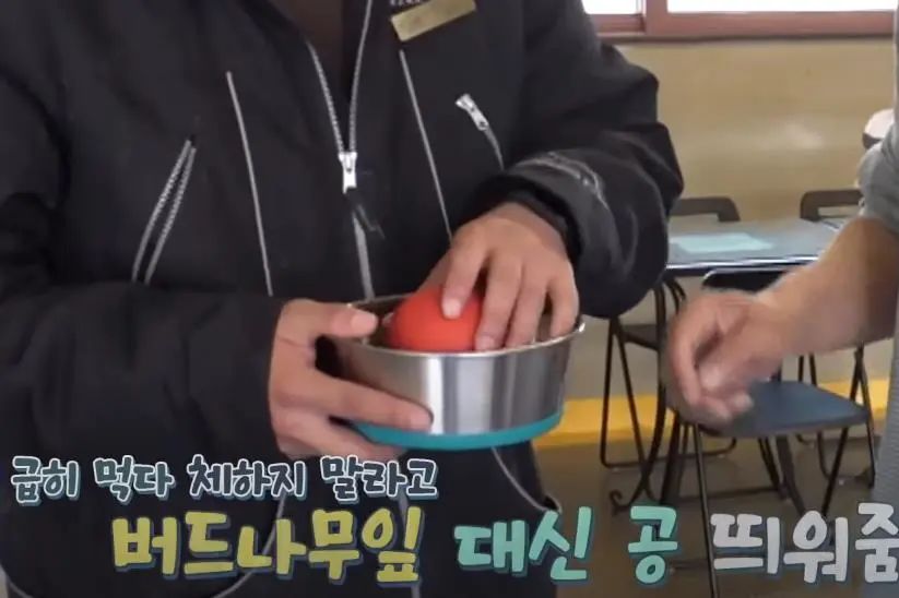 小奶狗怎么越吃越瘦是什么原因,小奶狗太瘦如何快速长胖