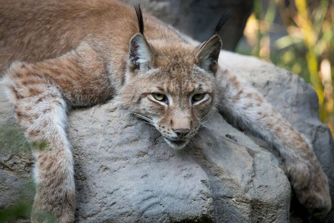 别去挤景点了！生态旅游了解一下