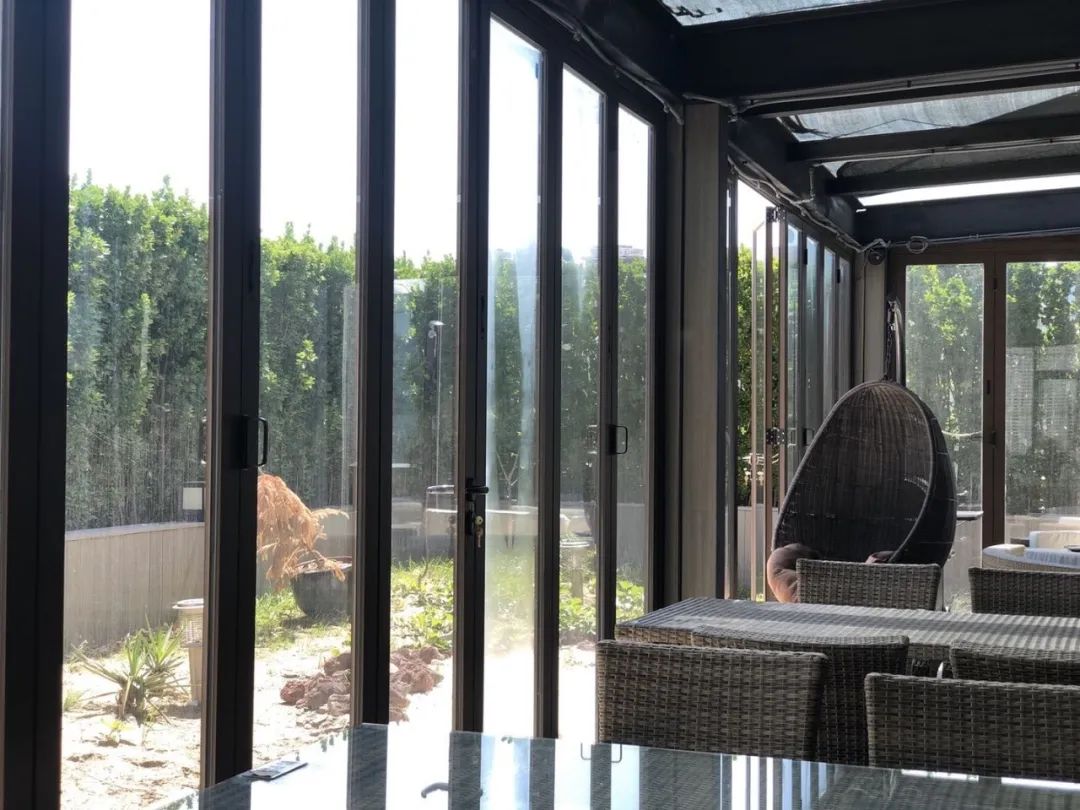 网友吸猫撸狗,吸猫撸狗的地方