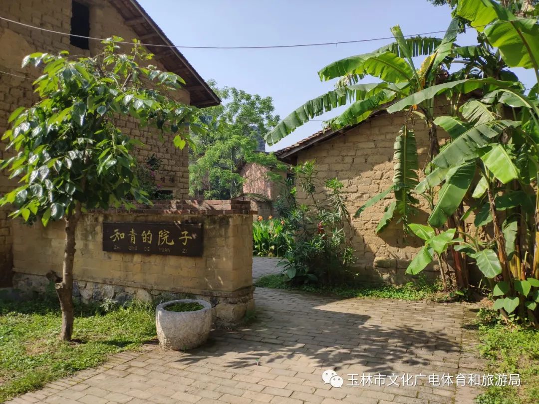 分享|“云游”林间小屋、石砌村道、稻田果树！乡村康养的好去处