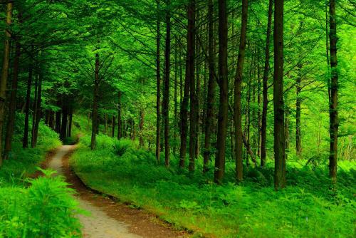 新拍案惊奇完整版,初刻拍案惊奇案最有意思的故事