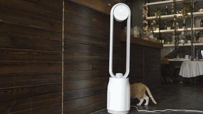 戴森无叶风扇超静音家用,无叶风扇好评